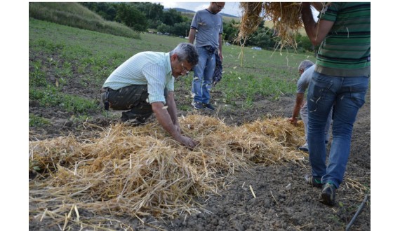 Vincitore della quarta edizione "Nuovi fattori di successo" organizzato dal Mipaaf